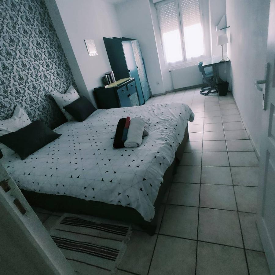 Blanc De Tardy Apartman Saint-Etienne  Kültér fotó